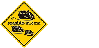 シーサイドＭ
