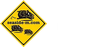 シーサイドＭ